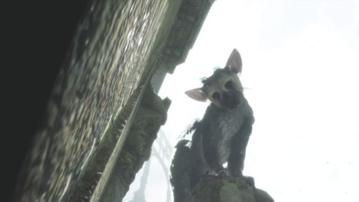 The Last Guardian™