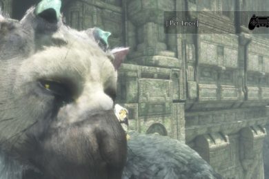 The Last Guardian™